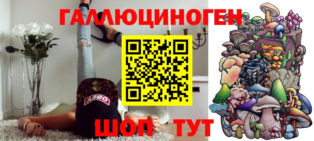 Псилоцибиновые грибы Cubensis Жигулёвск