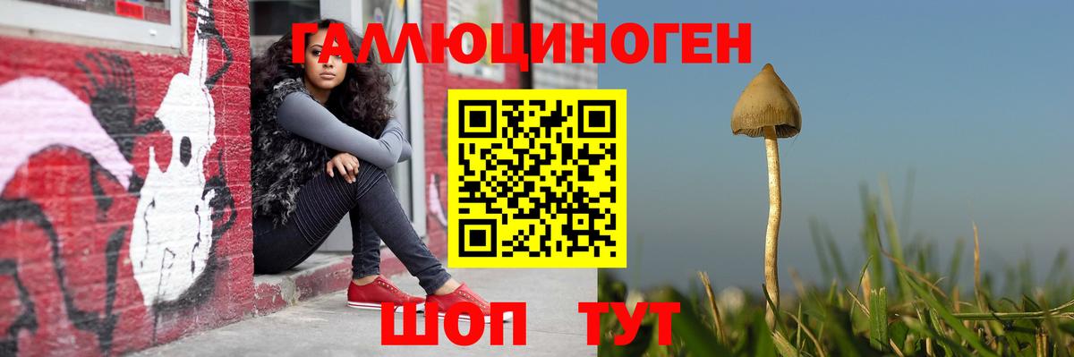 Жигулёвск  Псилоцибиновые грибы Magic Shrooms  Вход с VPN  Псилоцибиновые грибы ЛСД 