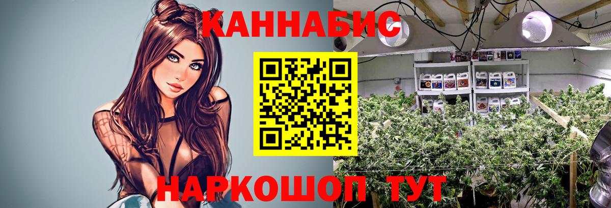 Канабис семена Жигулёвск